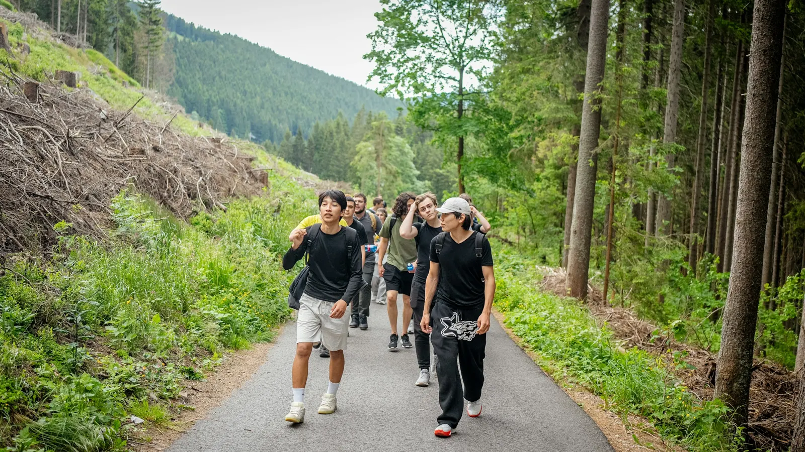Un groupe de jeunes adultes marche en souriant sur un chemin en forêt