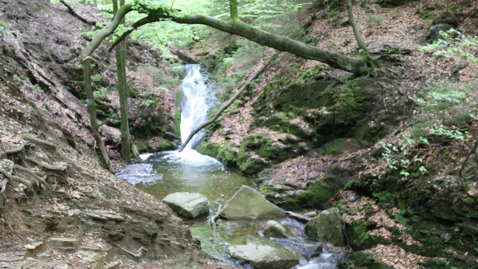 Une cascade du Ninglinspo entre rochers et sous-bois