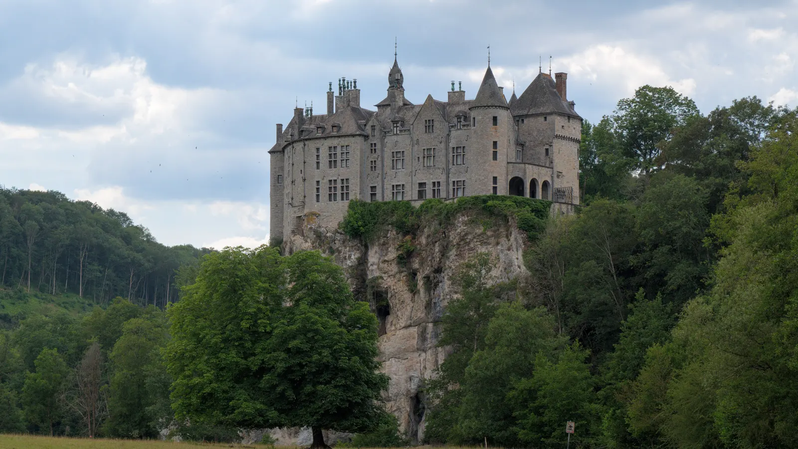 Le château de Walzin dominant la vallée boisée de la Lesse